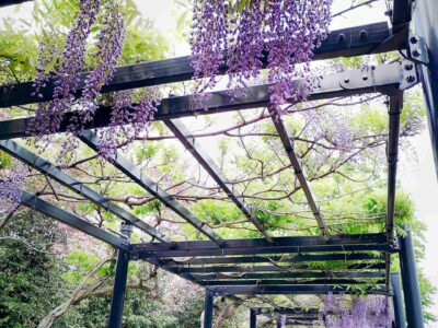 Garden pergola services Luton