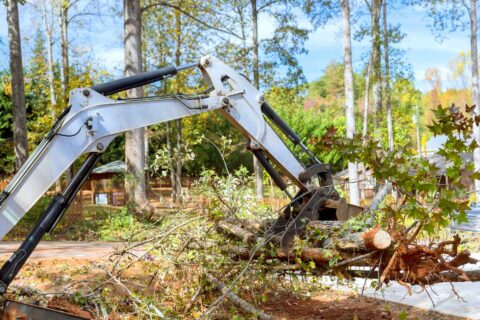 Site Clearance Services Luton