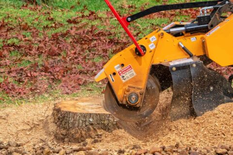 Tree Stump Grinding Services Luton